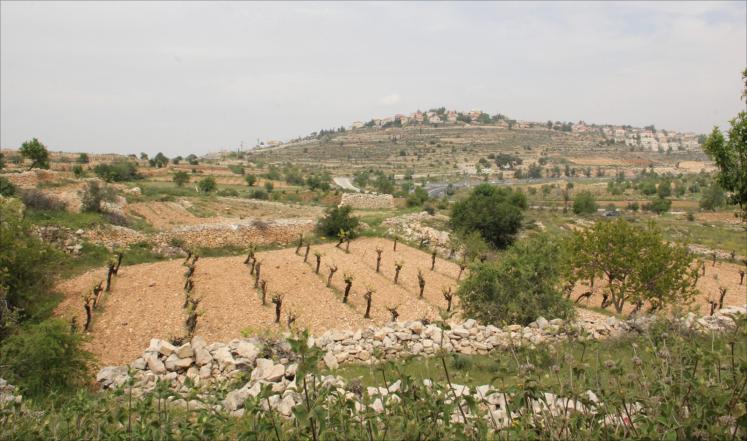 'العليا' الإسرائيلية تناقش طلب استعادة 5000 دونم قرب حدود الأردن غور الاردن