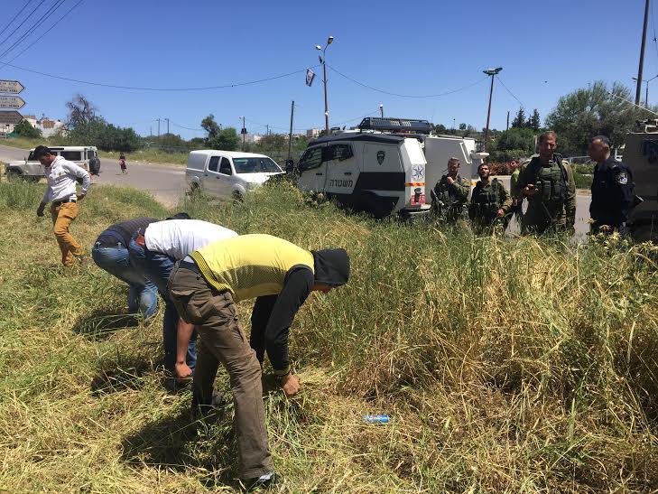 الاحتلال يمنع يوم تطوعي في عيد العمال بالخليل صورة من المكان