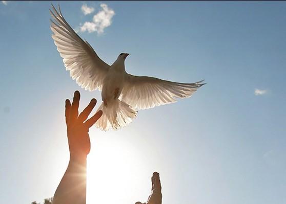 أسير من جنين يتنفس الحرية بعد 15 عاما من الأسر الحرية