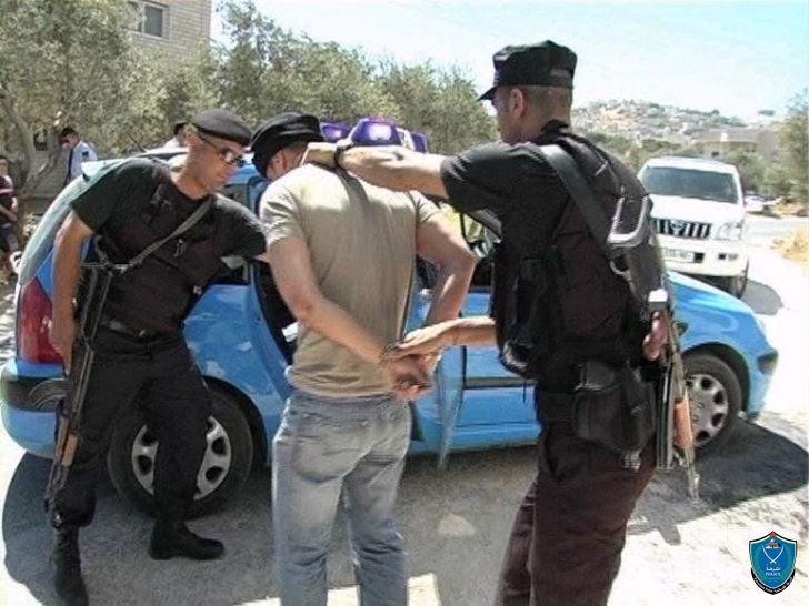 ضبط كمية من بذور نبات الماريجوانا المخدرة في الخليل