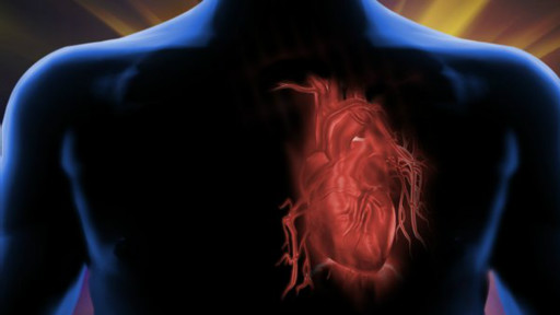 أمراض القلب لم تعد المسبب الأول لوفاة الرجال في أوروبا القلب