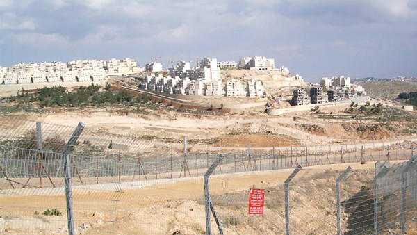 الاحتلال يستولي على 35 دونما من أراضي بيت حنينا استيطان