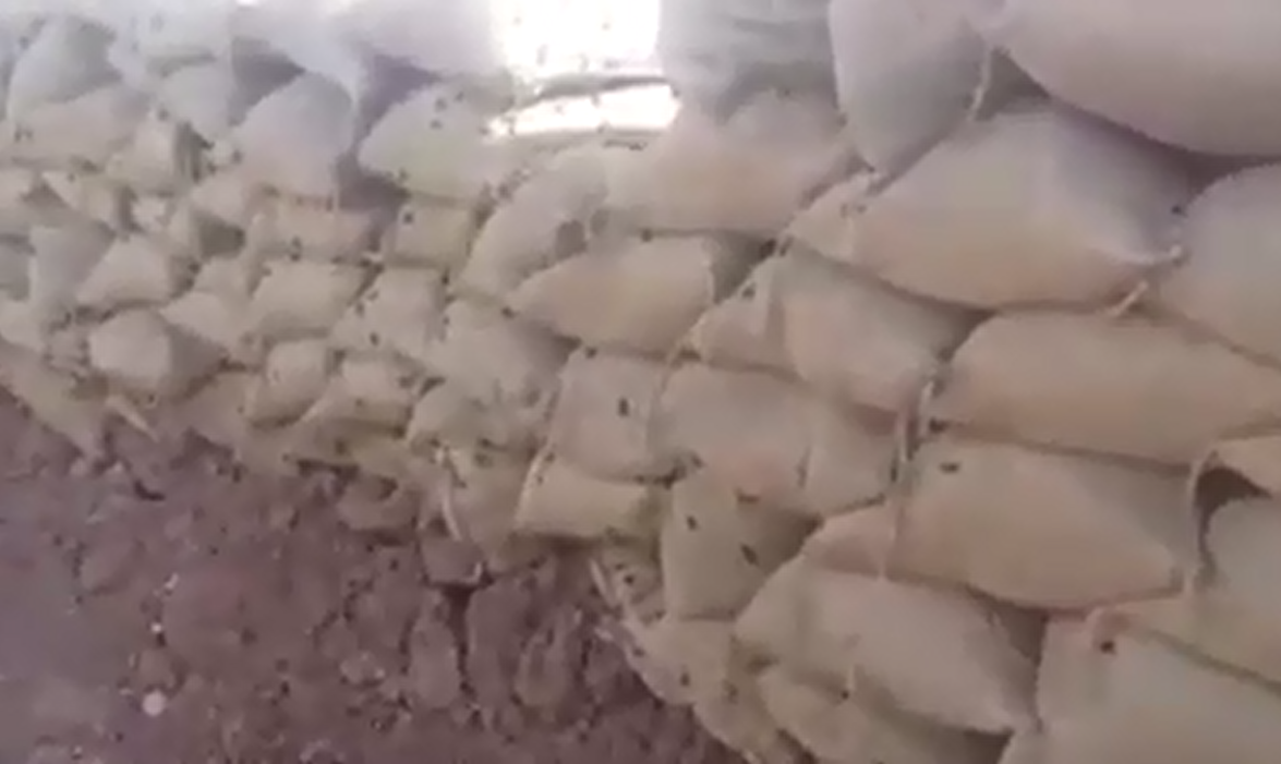 بالفيديو.. الخنافس السوداء تقاتل إلى جانب داعش جراد