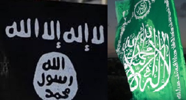داعش وحماس