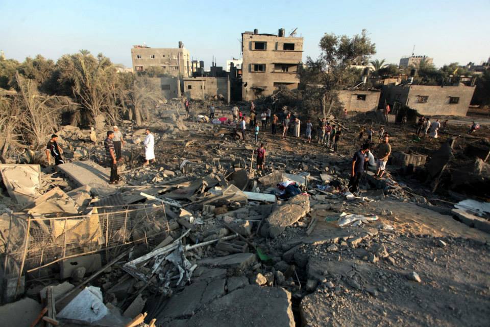 غزة: عام 2014 الأسوأ زراعيا في القطاع غزة