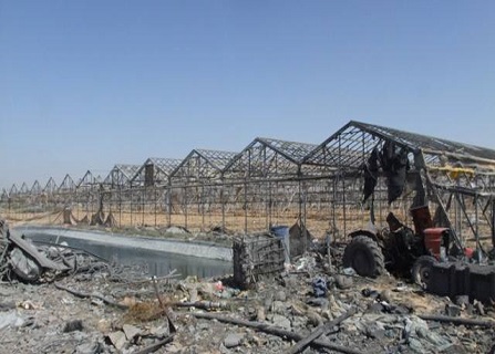 "فاو": آثار طويلة الأمد ستلحق بالقطاع الزراعي في غزة غزة