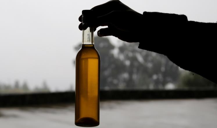 ضبط 10 طن زيتون مجهول المصدر وإتلاف 133 كرتونة شراب أطفال منتهي الصلاحية زيت زيتون