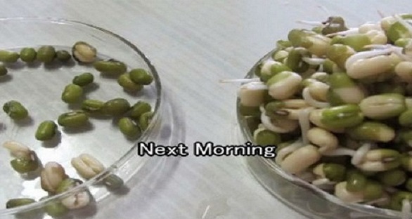 تجربة علمية تكشف خطورة وضع المحمول جانب الرأس أثناء النوم