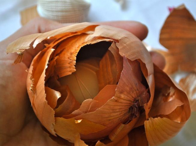 "كنز" صحي في سلة المهملات قشور