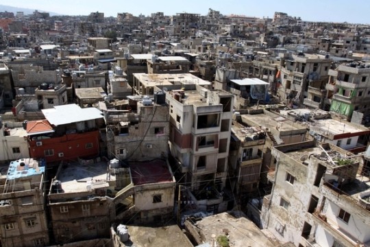 دراسة: معدلات الفقر العام بين فلسطينيي لبنان تبلغ 65% معدلات الفقر