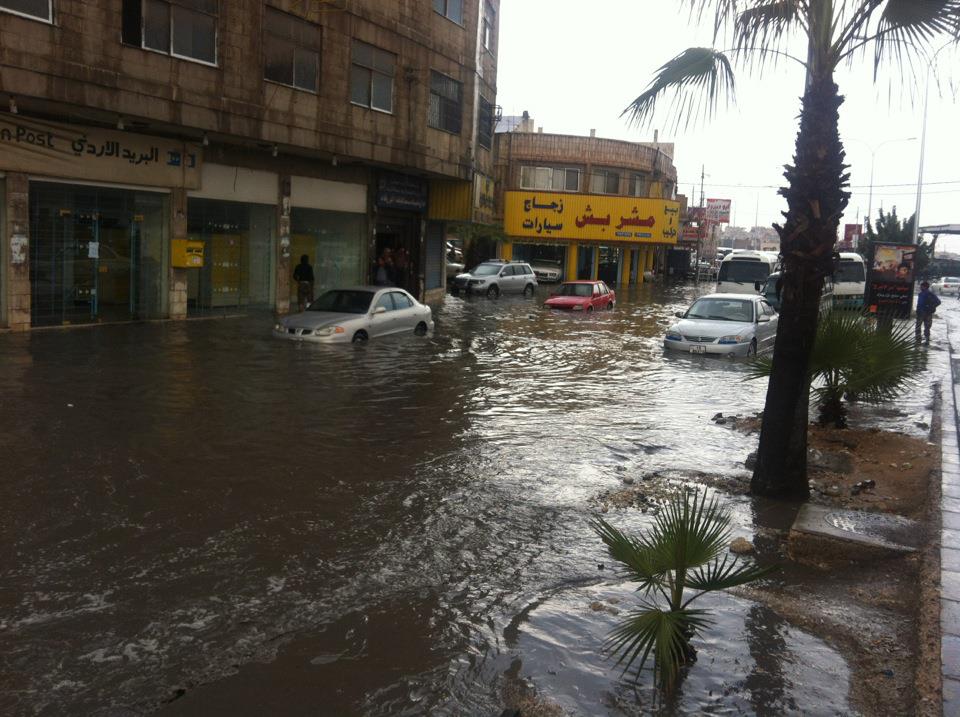 اخبار فلسطين