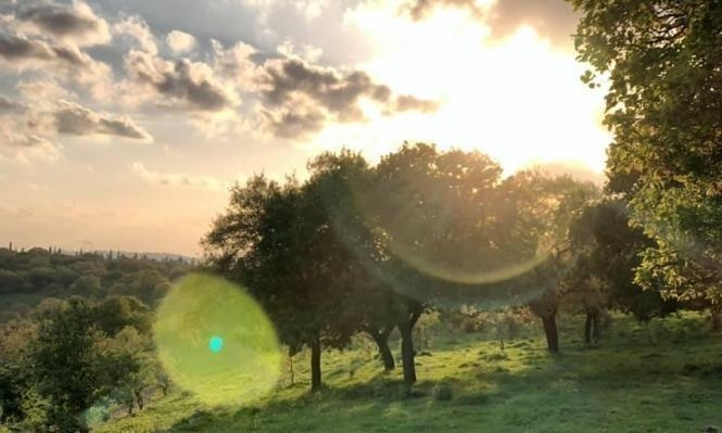 حالة الطقس: حار وجاف
