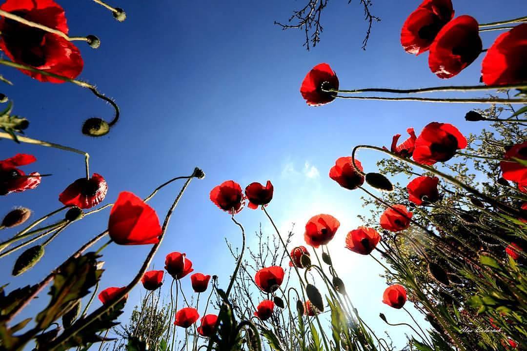 حالة الطقس: موجة حر مع انخفاض طفيف في درجات الحرارة