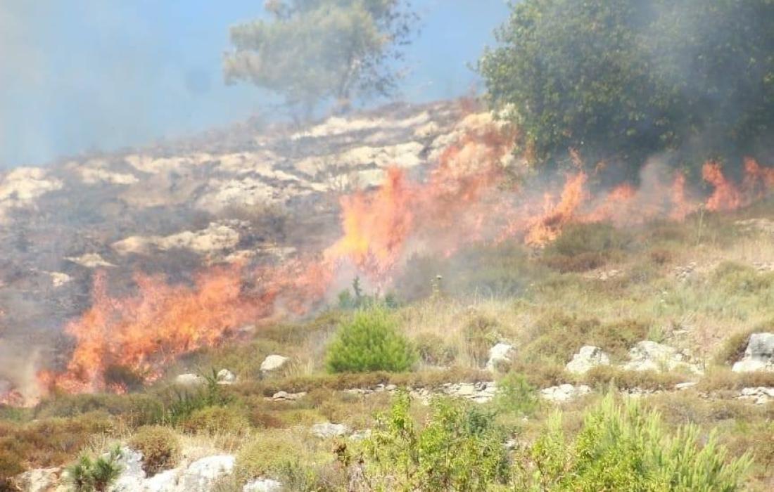 مستوطنون يشعلون النيران بأراضٍ زراعية شمال شرق الخليل