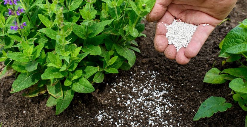 100 مادة خام تمنع إسرائيل إدخالها للسوق الفلسطيني