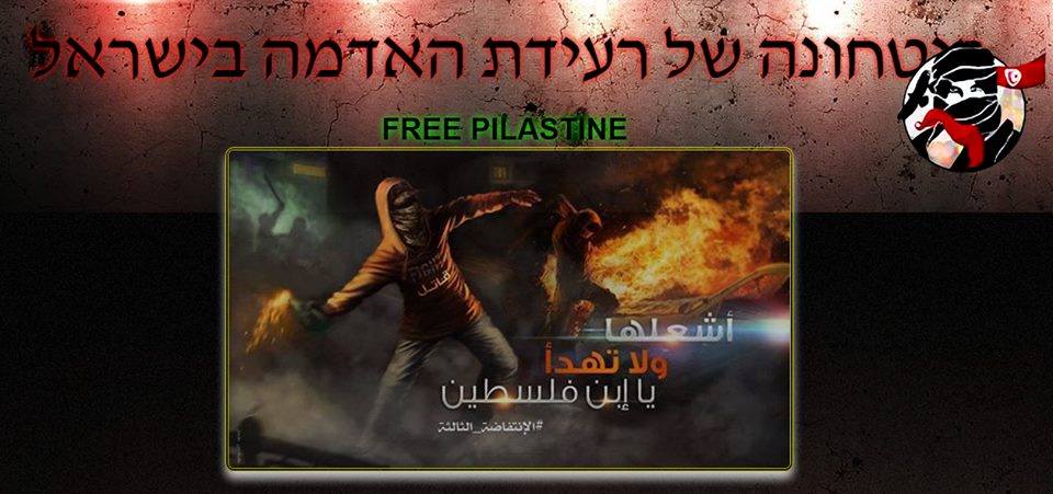 "الجيش التونسي" يخترق موقعا للمستوطنين الجيش التونسي