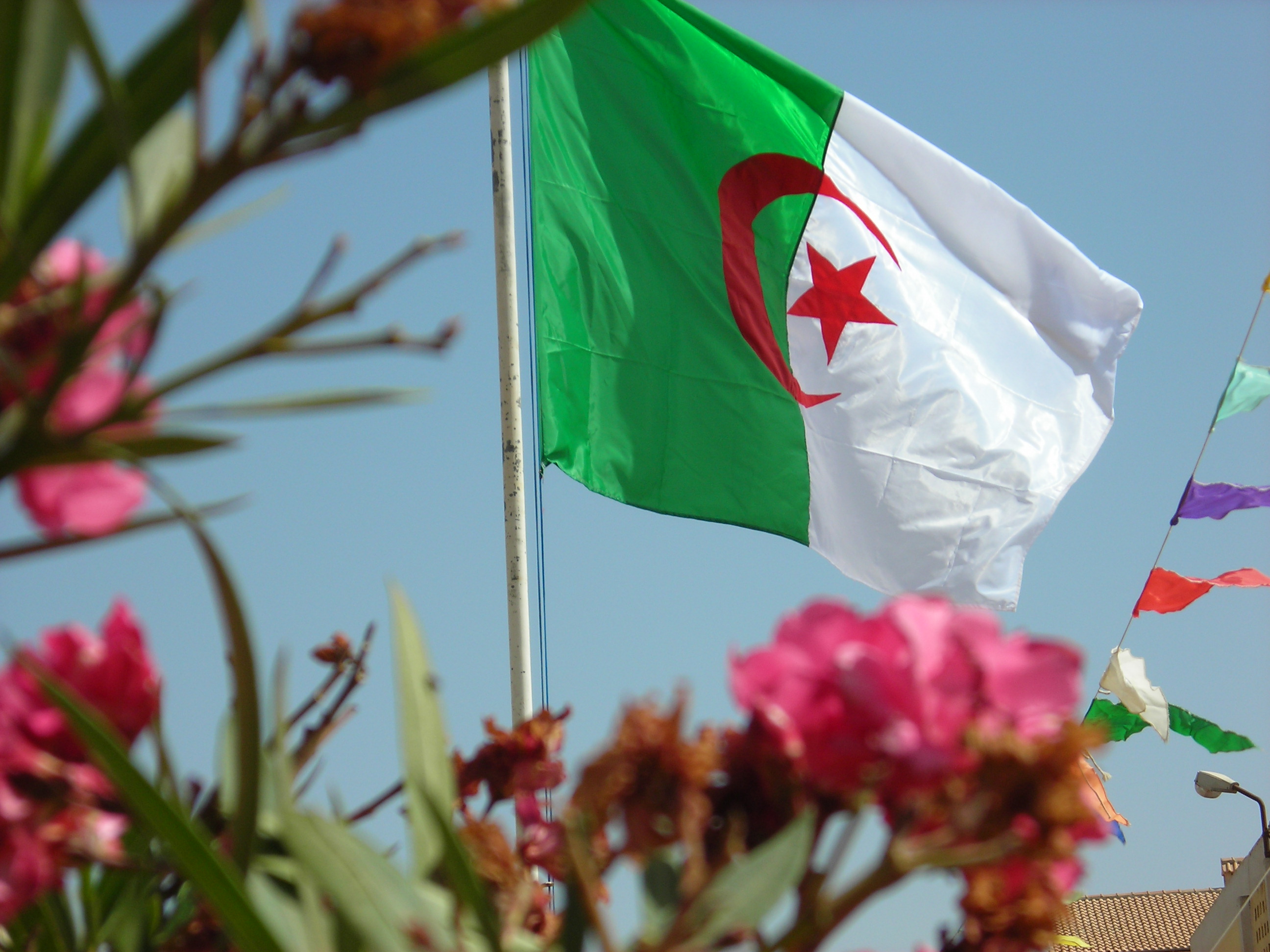 الخارجية الجزائرية تستدعي السفير الفرنسي على خلفية أوراق بنما الخارجية الجزائرية تستدعي السفير الفرنسي على خلفية أوراق بنما
