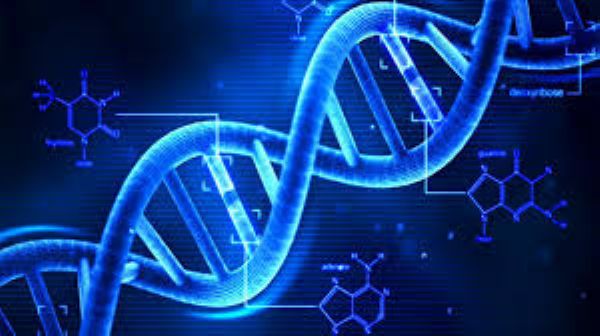 أب يجري تحليل «DNA» لابنه فيكتشف أنه ابن شقيقه