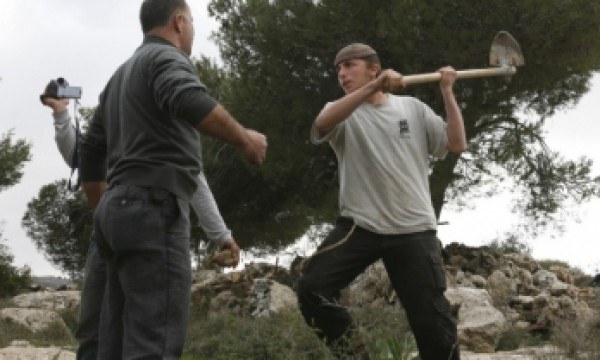 مستوطنون يعتدون على صاحب ورشة في قلقيلية مستوطنون