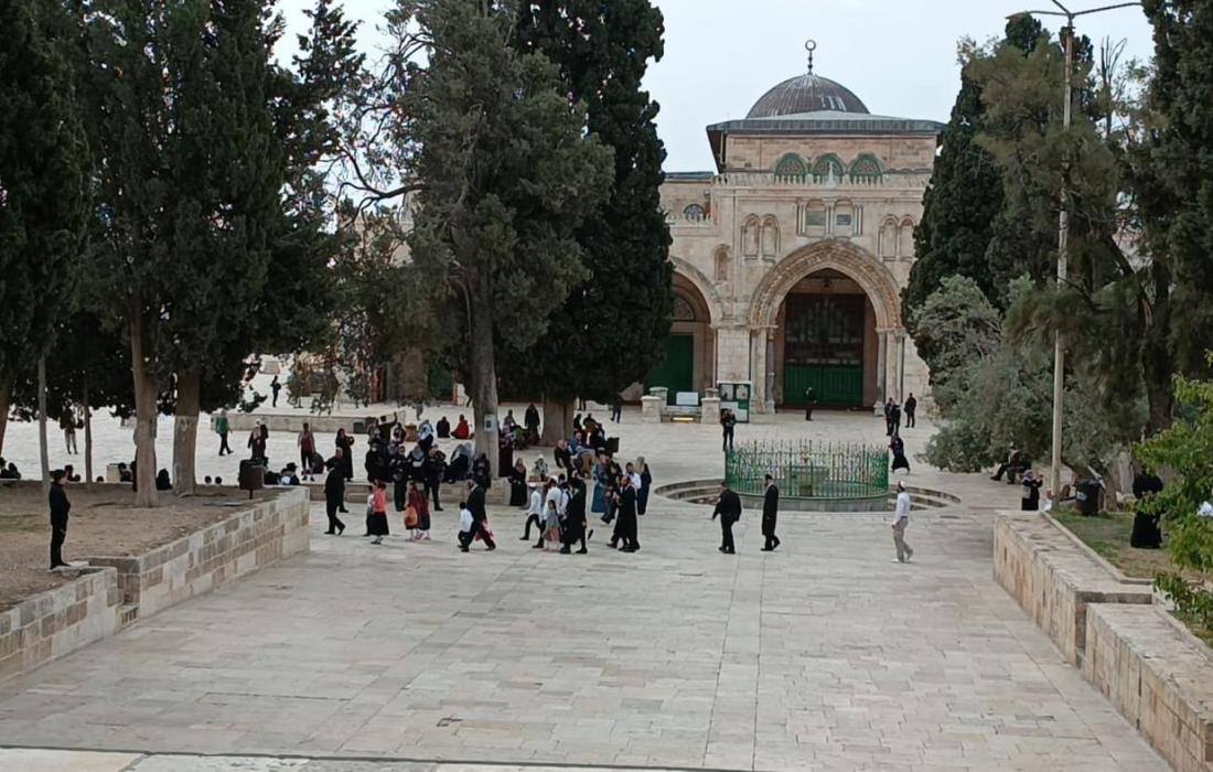 بالفيديو والصور لليوم الرابع على التوالي ...المستوطنون يقتحمون الاقصى والاحتلال يُخلي المرابطين