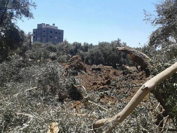450 مليون دولار خسائر القطاع الزراعي في قطاع غزة في العدوان الأخير خسائر القطاع الزراعي