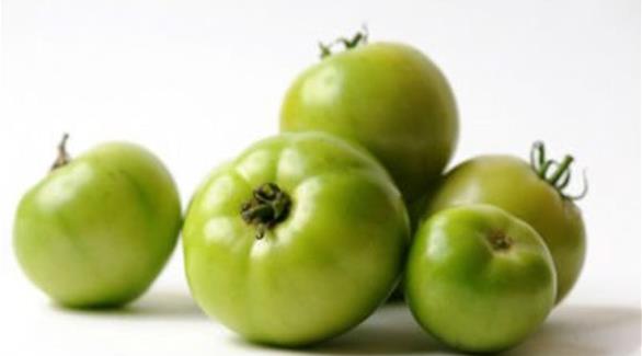 دراسة: البندورة الخضراء تقي من الشيخوخة دراسة: البندورة الخضراء تقي من الشيخوخة