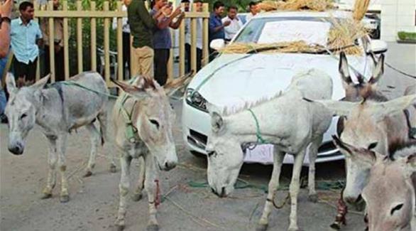 هندي يستعين بالحمير لتشغيل سيارته حمار يسحب سيارة