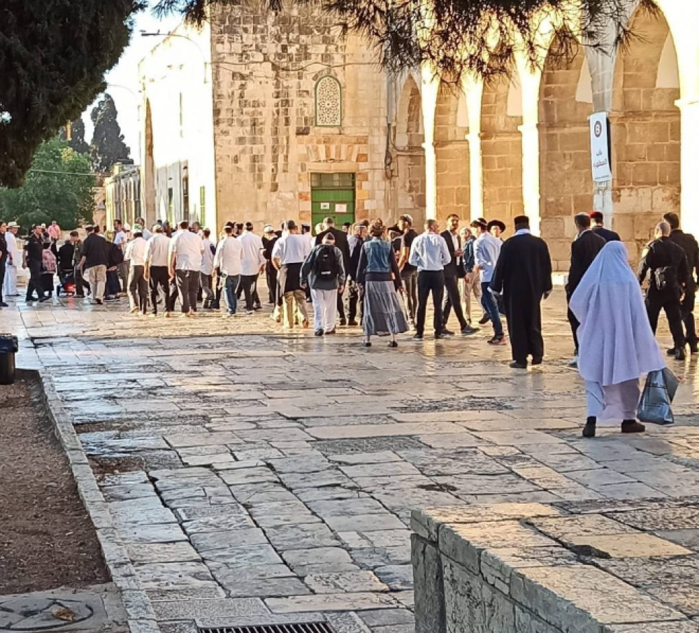 مستوطنون يقتحمون الأقصى ويؤدون طقوسًا تلمودية
