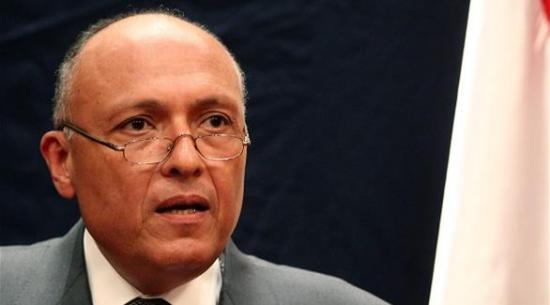 وزير الخارجية المصري: لن نغير مبادرتنا لوقف إطلاق النار