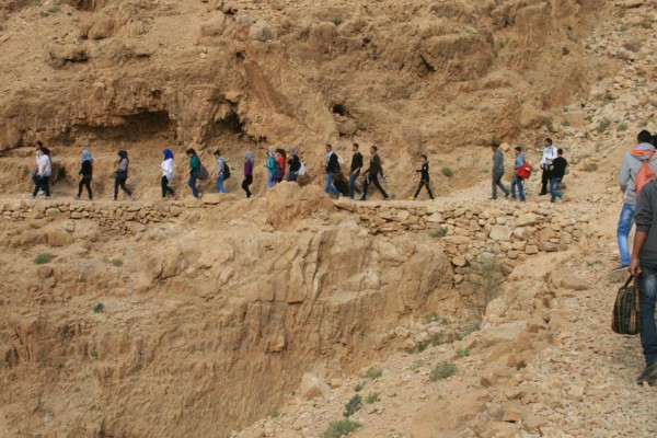 مصرع سائحة فرنسية جراء سقوطها في واد القلط بأريحا