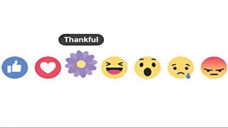 لم أضيفت زهرة بنفسجية إلى "فيسبوك"؟ زهرة بنفسجية