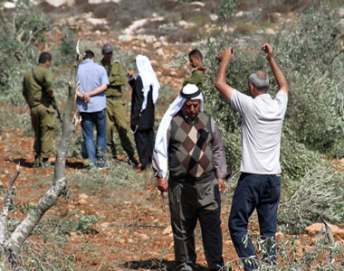 مستوطنون يعتدون على قاطفي الزيتون في قرية ياسوف مستوطنون
