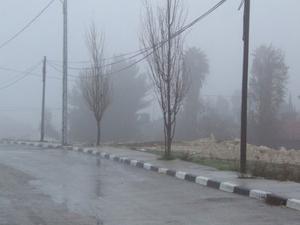 اخبار فلسطين