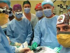 زراعة عضور ذكري