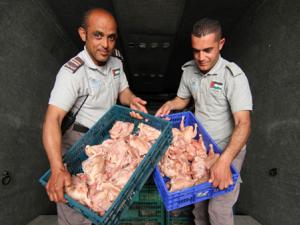 إتلاف دجاج غير صالح للاستهلاك