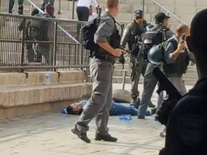 صورة من المكان