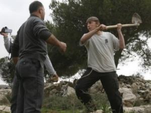 اعتداء المستوطنين