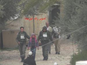 عملية طعن