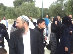 اخبار فلسطين