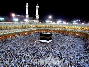 أسماء المقبولين