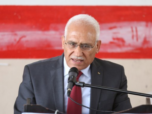 محمد منصور