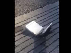 فضيحة جديدة