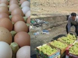 صورة توضيحية