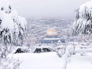 اخبار فلسطين