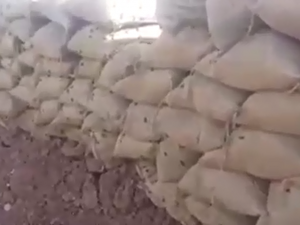 جراد