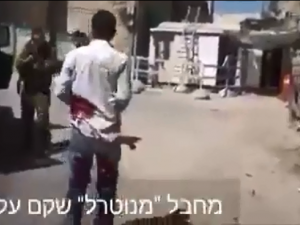 الخليل