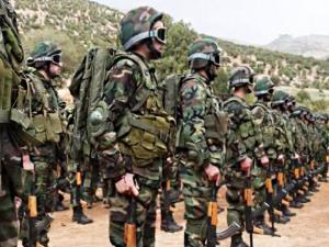 نخبة حزب الله