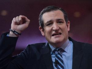 السناتور تد كروز