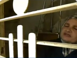 شارع الشهداء