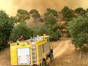 صورة من المكان